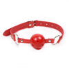 Set of Erotic Accessories
