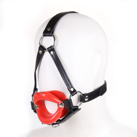 HEAD HARNESS WITH MOUTH GAG