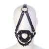HEAD HARNESS WITH MOUTH GAG
