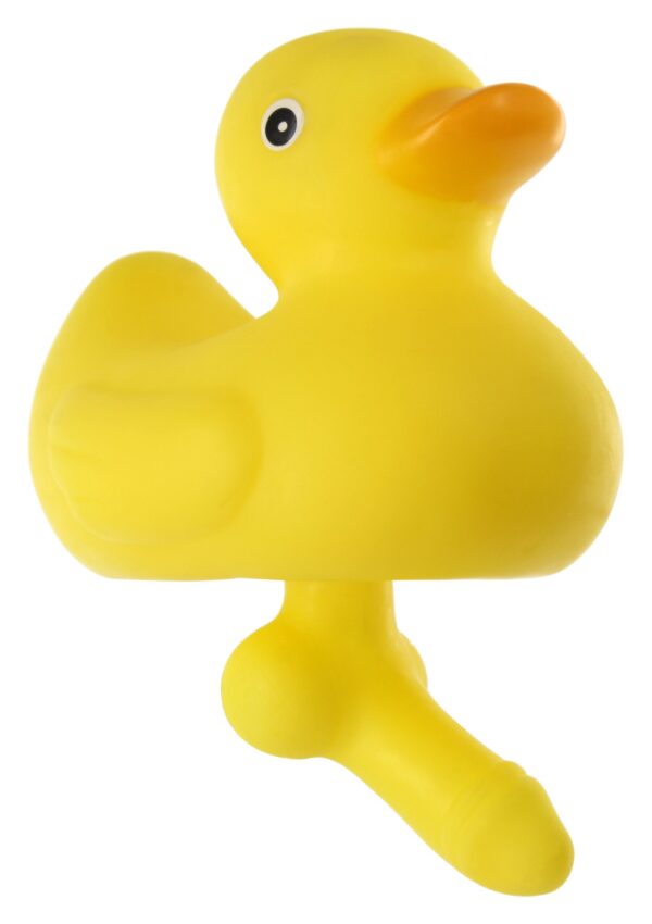 Spencer & Fleetwood Ltd Duck With A Dick - Image 3