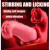 Stirring & Licking Vibrator – Διπλή Δράση για Απόλυτη Απόλαυση