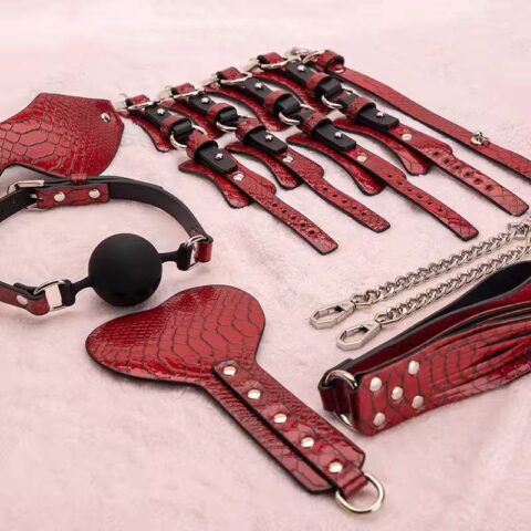 Δερμάτινο κόκκινο bdsm set
