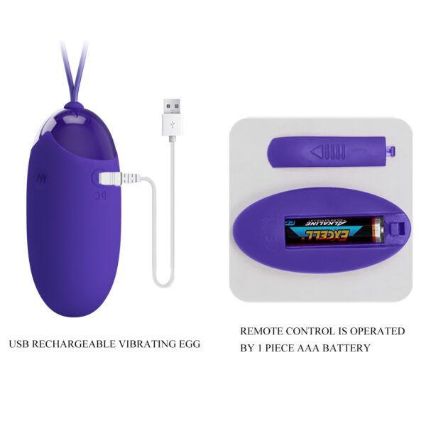 Pretty love egg vibrator purple