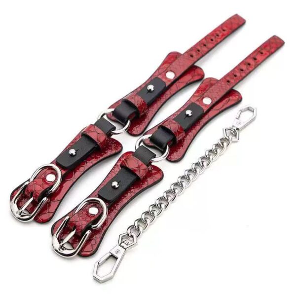 Δερμάτινο κόκκινο bdsm set