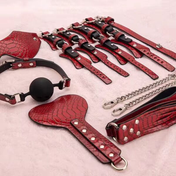 Δερμάτινο κόκκινο bdsm set