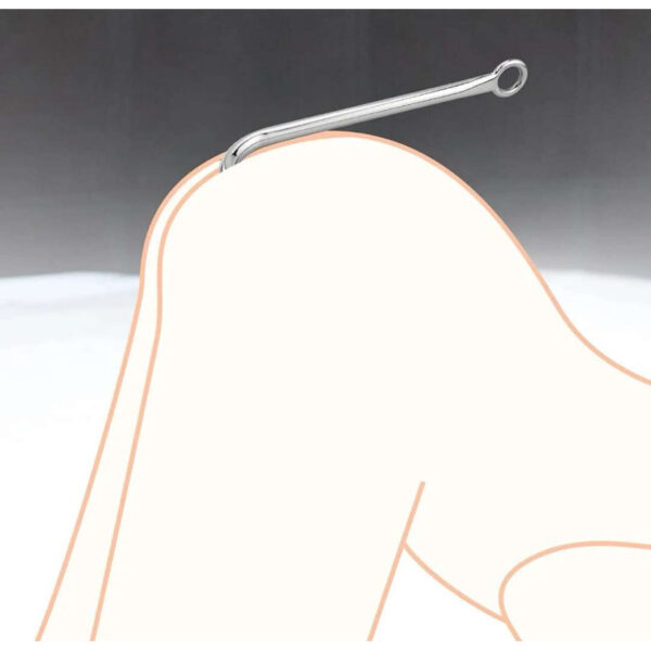 Anal Hook