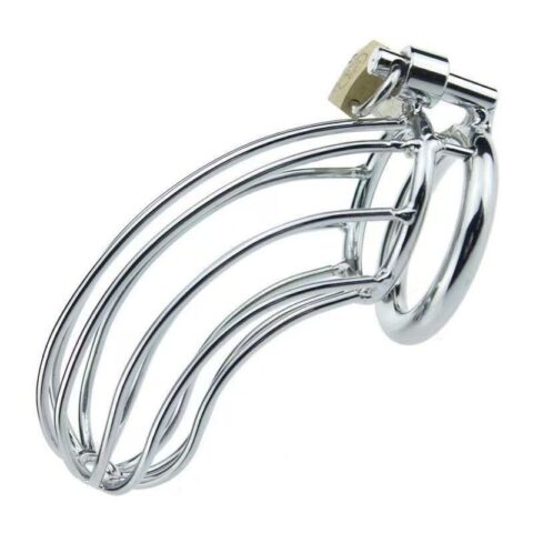 Cock Cage Silver 50mm – Μεταλλικό Κλουβί Πέους για Απόλυτο Έλεγχο & BDSM Απόλαυση