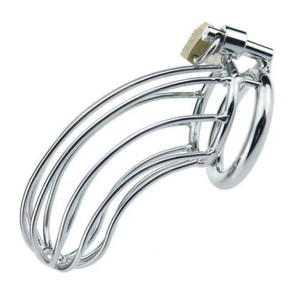 Cock Cage Silver 50mm – Μεταλλικό Κλουβί Πέους για Απόλυτο Έλεγχο & BDSM Απόλαυση
