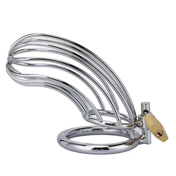 Cock Cage Silver 50mm – Μεταλλικό Κλουβί Πέους για Απόλυτο Έλεγχο & BDSM Απόλαυση