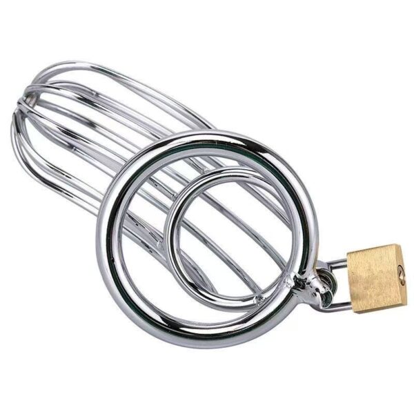 Cock Cage Silver 50mm – Μεταλλικό Κλουβί Πέους για Απόλυτο Έλεγχο & BDSM Απόλαυση