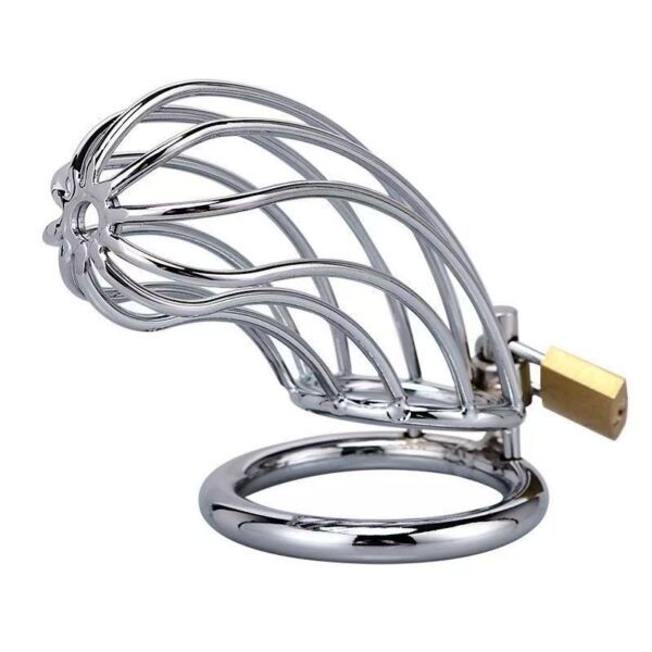 Cock Cage Silver 50mm – Μεταλλικό Κλουβί Πέους για Απόλυτο Έλεγχο & BDSM Απόλαυση