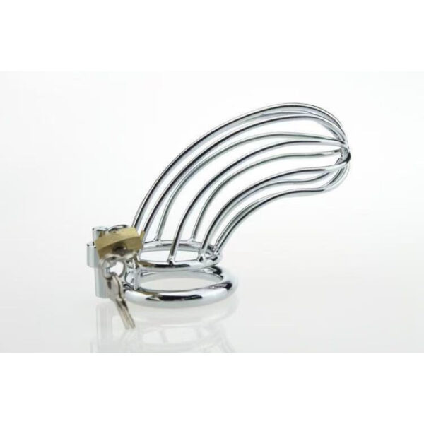 Cock Cage Silver 50mm – Μεταλλικό Κλουβί Πέους για Απόλυτο Έλεγχο & BDSM Απόλαυση