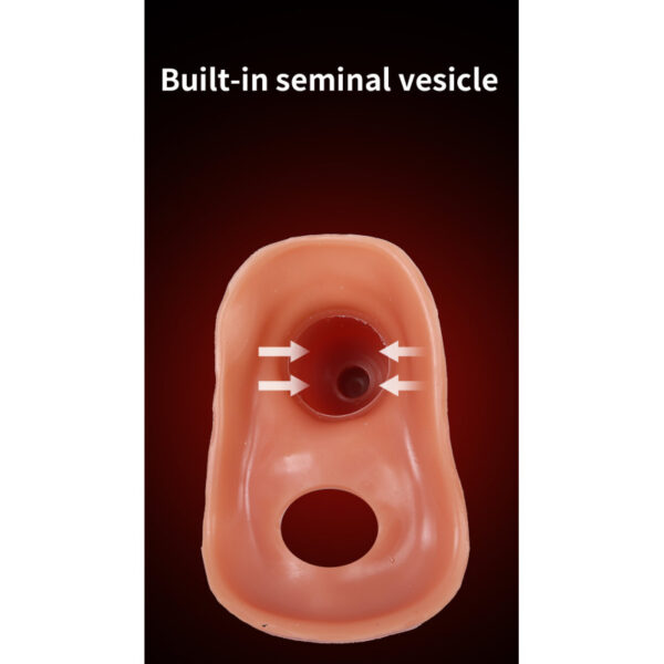 APH Pennis Extender realistic