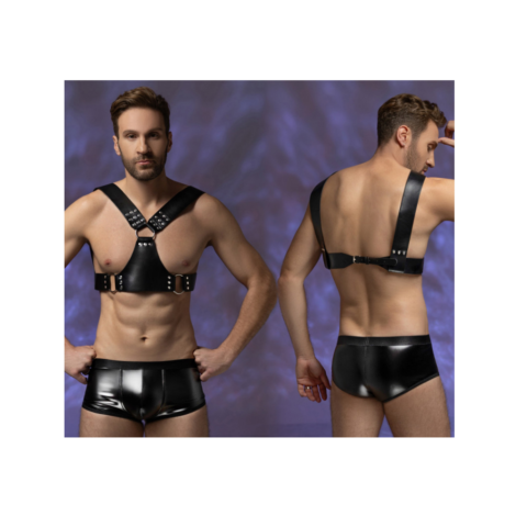 Ανδρικό Wet Look Harness Set με Boxer Style